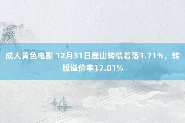 成人黄色电影 12月31日鹿山转债着落1.71%，转股溢价率17.01%