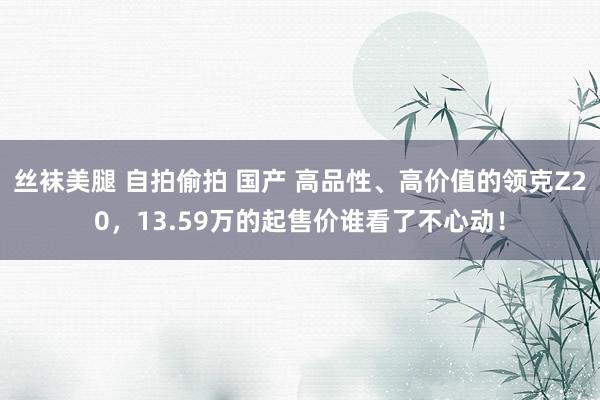 丝袜美腿 自拍偷拍 国产 高品性、高价值的领克Z20，13.59万的起售价谁看了不心动！