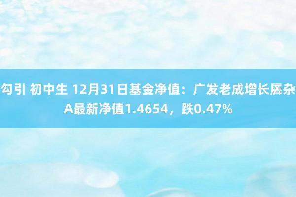 勾引 初中生 12月31日基金净值：广发老成增长羼杂A最新净值1.4654，跌0.47%