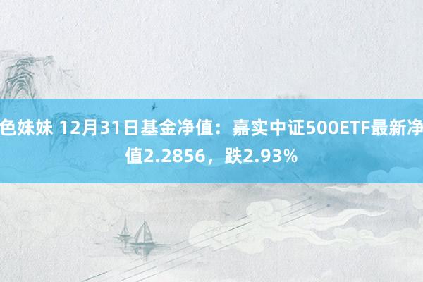 色妹妹 12月31日基金净值：嘉实中证500ETF最新净值2.2856，跌2.93%