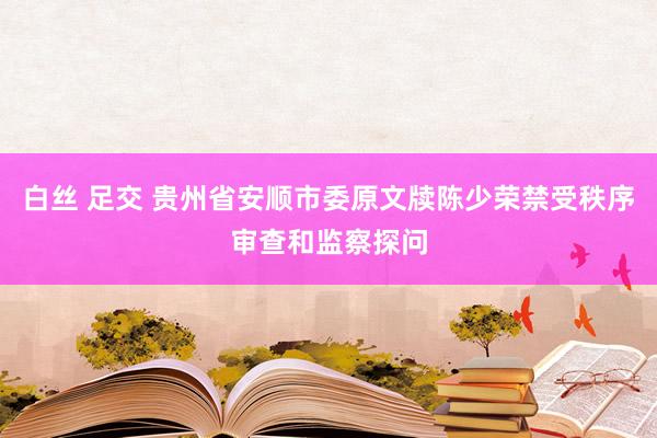 白丝 足交 贵州省安顺市委原文牍陈少荣禁受秩序审查和监察探问