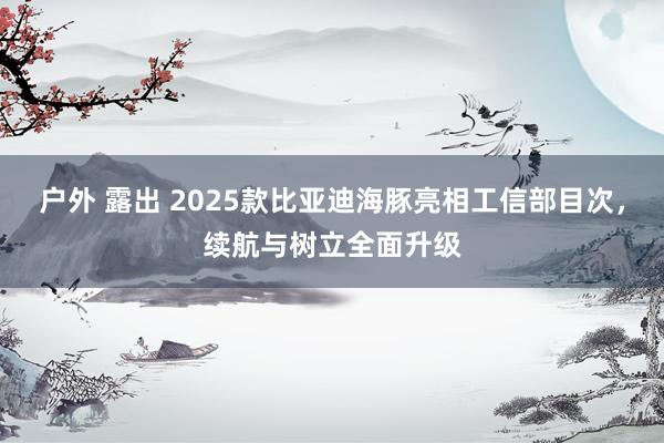 户外 露出 2025款比亚迪海豚亮相工信部目次，续航与树立全面升级