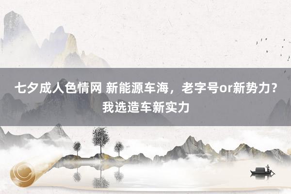 七夕成人色情网 新能源车海，老字号or新势力？我选造车新实力