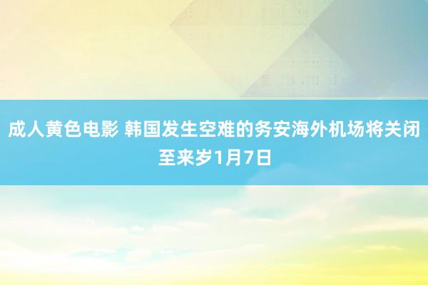 成人黄色电影 韩国发生空难的务安海外机场将关闭至来岁1月7日