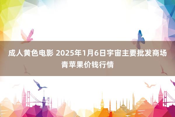 成人黄色电影 2025年1月6日宇宙主要批发商场青苹果价钱行情