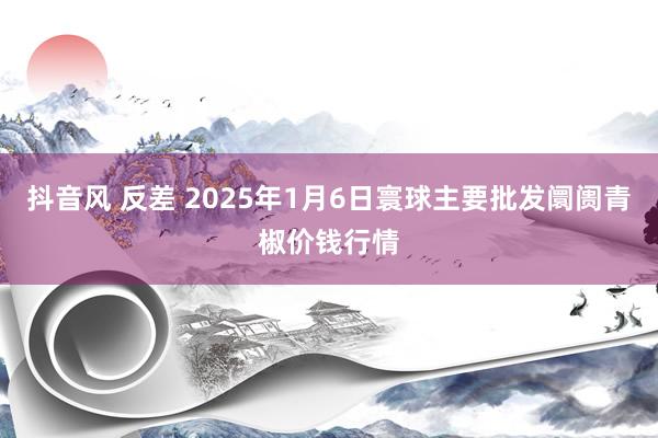 抖音风 反差 2025年1月6日寰球主要批发阛阓青椒价钱行情