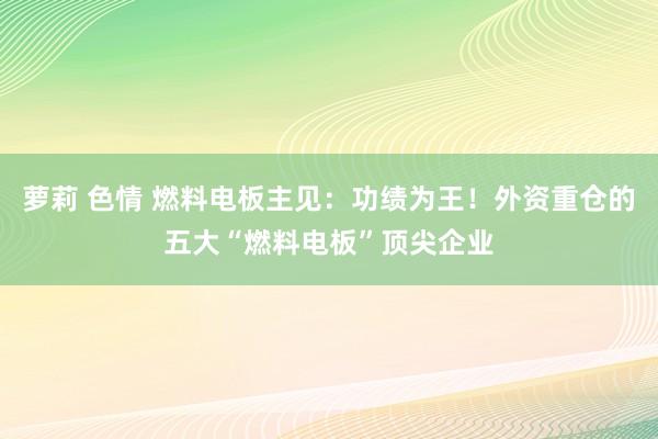 萝莉 色情 燃料电板主见：功绩为王！外资重仓的五大“燃料电板”顶尖企业