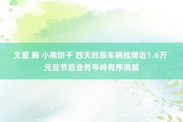 文爱 胸 小熊饼干 四天时辰车辆挂牌近1.6万 元旦节后业务岑岭有序消减