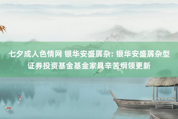 七夕成人色情网 银华安盛羼杂: 银华安盛羼杂型证券投资基金基金家具辛苦纲领更新