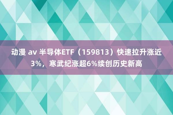 动漫 av 半导体ETF（159813）快速拉升涨近3%，寒武纪涨超6%续创历史新高