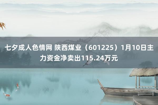 七夕成人色情网 陕西煤业（601225）1月10日主力资金净卖出115.24万元