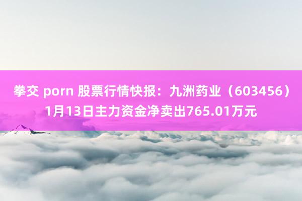 拳交 porn 股票行情快报：九洲药业（603456）1月13日主力资金净卖出765.01万元