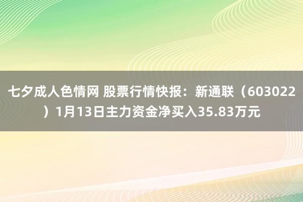 七夕成人色情网 股票行情快报：新通联（603022）1月13日主力资金净买入35.83万元