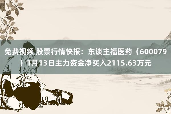 免费视频 股票行情快报：东谈主福医药（600079）1月13日主力资金净买入2115.63万元