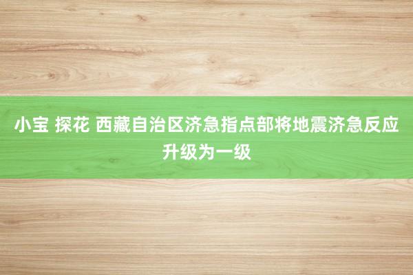 小宝 探花 西藏自治区济急指点部将地震济急反应升级为一级