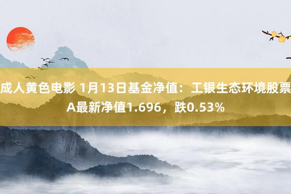 成人黄色电影 1月13日基金净值：工银生态环境股票A最新净值1.696，跌0.53%