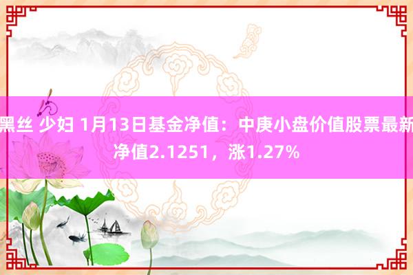 黑丝 少妇 1月13日基金净值：中庚小盘价值股票最新净值2.1251，涨1.27%