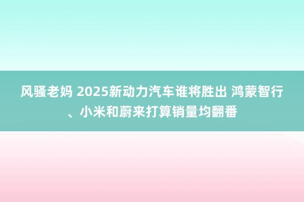 风骚老妈 2025新动力汽车谁将胜出 鸿蒙智行、小米和蔚来打算销量均翻番