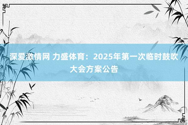 深爱激情网 力盛体育：2025年第一次临时鼓吹大会方案公告