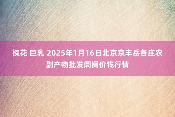 探花 巨乳 2025年1月16日北京京丰岳各庄农副产物批发阛阓价钱行情