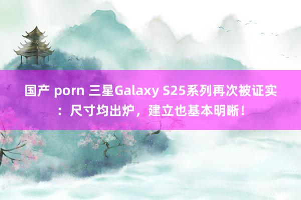 国产 porn 三星Galaxy S25系列再次被证实：尺寸均出炉，建立也基本明晰！